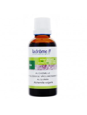 Image de Alchemilla Bio - Menstrual cycle Mother tincture of Alchemilla vulgaris 100 ml Ladrôme depuis New Herbalist products