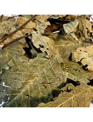 Image de Noyer Bio - Feuilles entières 50g - Tisane de Juglans regia L. depuis louis-herboristerie