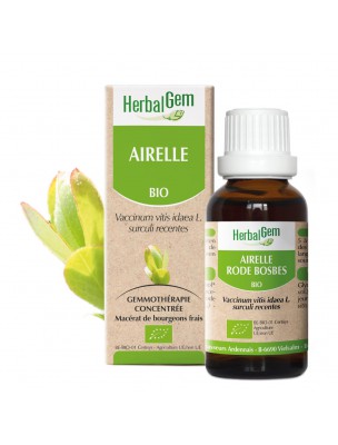 Image de Airelle bourgeon Bio - Troubles féminins 15 ml - Herbalgem depuis Les plantes équilibrent votre système hormonal