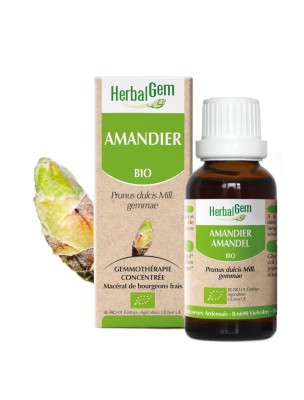 Image de Amandier bourgeon Bio - Circulation et Reins 15 ml - Herbalgem depuis Commandez les produits Herbalgem à l'herboristerie Louis