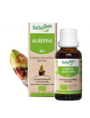 Image de Aubépine bourgeon Bio - Coeur et Détente Spray 15 ml - Herbalgem depuis Découvrez nos bourgeons unitaires naturels pour un bien-être complet