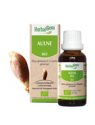 Image de Aulne bourgeon Bio 30 ml - Drainage et circulation - Herbalgem depuis Achetez les produits Herbalgem à l'herboristerie Louis