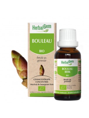 Image de Bouleau bourgeon Bio 30 ml - Articulations et Drainage - Herbalgem via Bouleau Bio - Feuilles coupées 100g