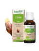 Cassis bourgeon Bio - Articulations et allergies Spray de 15 ml - Herbalgem