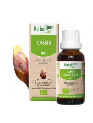 Image de Cassis bourgeon Bio - Articulations et allergies Spray de 15 ml - Herbalgem via Guide de Gemmothérapie - L'Energie Vitale des bourgeons - Edition Amyris