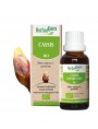 Image de Blackcurrant bud Bio - Joints and allergies 30 ml - Herbalgem via Buy Bamboo Tabashir 300 mg - Silica 60 capsules