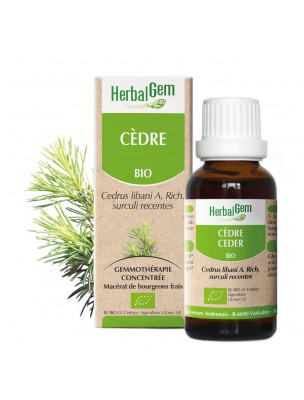 Image de Cedar bud Organic - Skin 30 ml - (French) Herbalgem depuis Buy the products Herbalgem at the herbalist's shop Louis
