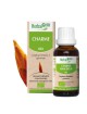 Charme bourgeon Bio - Respiration et Circulation 30 ml - Herbalgem