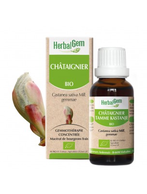 Image de Châtaignier bourgeon Bio - Drainage et circulation 30 ml - Herbalgem depuis Commandez les produits Herbalgem à l'herboristerie Louis