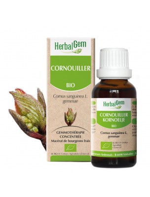 Image de Cornouiller bourgeon Bio - Coeur 30 ml - Herbalgem via Aubépine Bio - Teinture-mère Crataegus monogyna 50ml - Biover