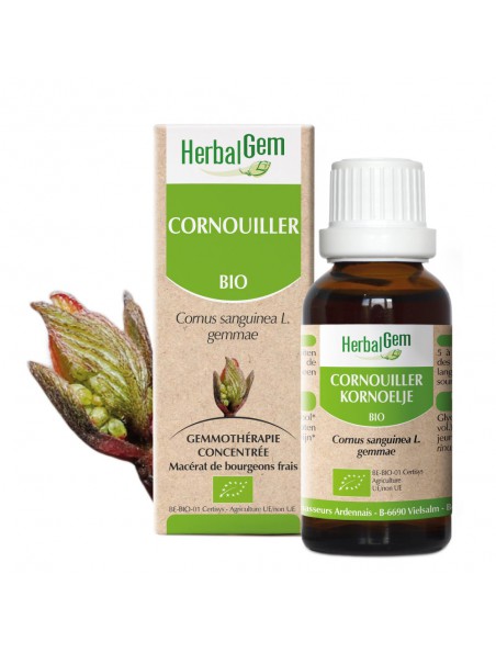 Image principale de Cornouiller bourgeon Bio - Coeur 30 ml - Herbalgem