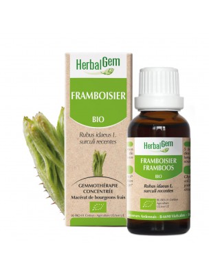 Image de Framboisier bourgeon Bio - Troubles féminins 30 ml - Herbalgem via FeminaGEM GC21 Bio Spray de 15 ml - Herbalgem