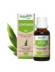 Genévrier bourgeon Bio - Tonique et dépuratif 30 ml - Herbalgem