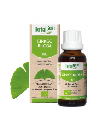 Image de Ginkgo biloba bourgeon Bio - Mémoire et circulation 15 ml - Herbalgem depuis Les plantes stimulent et apaisent les maux de tête
