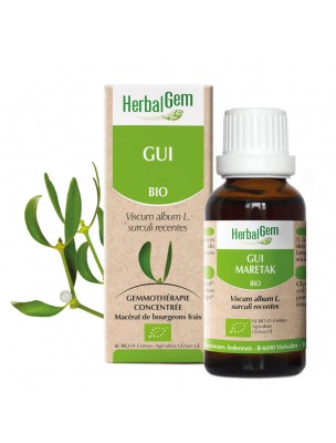 Image de Gui bourgeon Bio - Circulation et Hypertension 30 ml - Herbalgem depuis Achetez les produits Herbalgem à l'herboristerie Louis