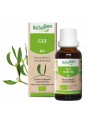 Image de Gui bourgeon Bio - Circulation et Hypertension 30 ml - Herbalgem via Cornouiller sanguin Macérât de bourgeon Bio - Cardio-Vasculaire