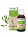 Image de Mistletoe bud Bio - Circulation and Hypertension 50 ml - (french) Herbalgem via Buy Organic Marjoram - Origanum majorana Essential Oil