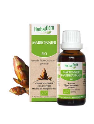 Image de Marronnier bourgeon Bio - Système veineux 30 ml - Herbalgem via Hamamélis de Virginie Bio - Circulation Teinture-mère 50 ml - Herbiolys