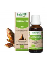 Image de Marronnier bourgeon Bio - Système veineux 30 ml - Herbalgem depuis Découvrez nos bourgeons unitaires naturels pour un bien-être complet (4)