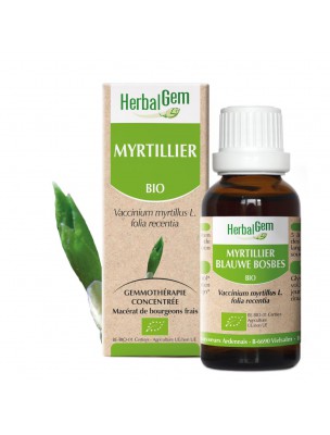 Image de Myrtillier bourgeon Bio - Glycémie et vue 30 ml - Herbalgem via Tisane Minceur N°6 Glycémie Normale - Mélange 100g - Herboristerie