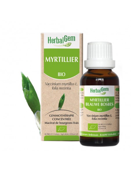Myrtillier bourgeon Bio - Glycémie et vue 50 ml - Herbalgem