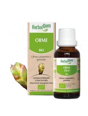 Image de Orme bourgeon Bio - Draineur et Peau 30 ml - Herbalgem depuis Commandez les produits Herbalgem à l'herboristerie Louis