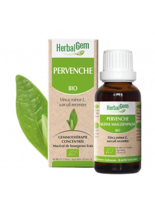 Image de Pervenche bourgeon Bio - Mémoire et Circulation 30 ml – Herbalgem via Achetez MemoGEM GC10 Bio - Mémoire et concentration - Herbalgem