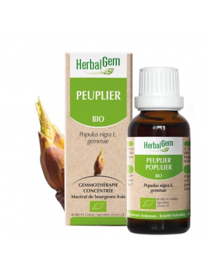 Image de Peuplier bourgeon Bio - Nettoyage du système circulatoire 30 ml - Herbalgem depuis Aulne glutineux Macérât de bourgeon Bio - Herbiolys
