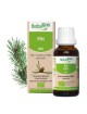 Pin des montagnes bourgeon Bio - Reminéralisant 30 ml - Herbalgem