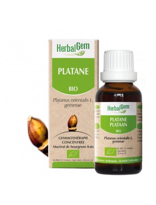 Image de Platane bourgeon Bio - Epiderme 30 ml -  Herbalgem depuis Achetez les produits Herbalgem à l'herboristerie Louis (2)