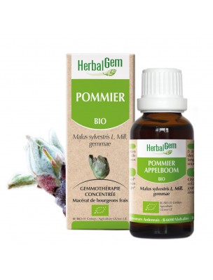 Image de Pommier bourgeon Bio - Calmant nerveux 30 ml - Herbalgem depuis louis-herboristerie