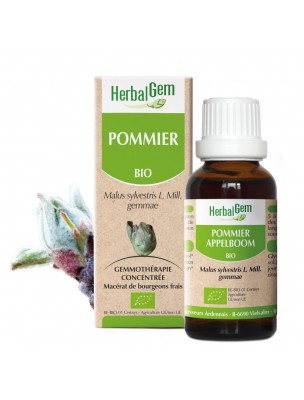 Image de Pommier bourgeon Bio - Calmant nerveux 30 ml - Herbalgem depuis Commandez les produits Herbalgem à l'herboristerie Louis