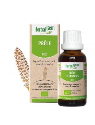 Image de Prêle bourgeon Bio - Articulations et drainage 30 ml - Herbalgem depuis Achetez Prêle Bio - Partie aérienne en poudre 100g