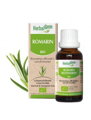 Image de Romarin bourgeon Bio - Tonique du foie et de la circulation 30 ml - Herbalgem via Acide malique - Foie 500g