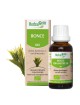 Ronce bourgeon Bio - Allergies et Respiration 30 ml - Herbalgem
