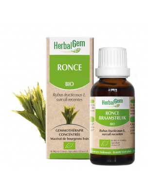 Image de Bramble bud Bio - Allergies and Breathing 30 ml Herbalgem depuis Buy the products Herbalgem at the herbalist's shop Louis