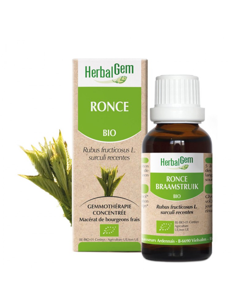 Ronce bourgeon Bio - Allergies et Respiration 50 ml - Herbalgem