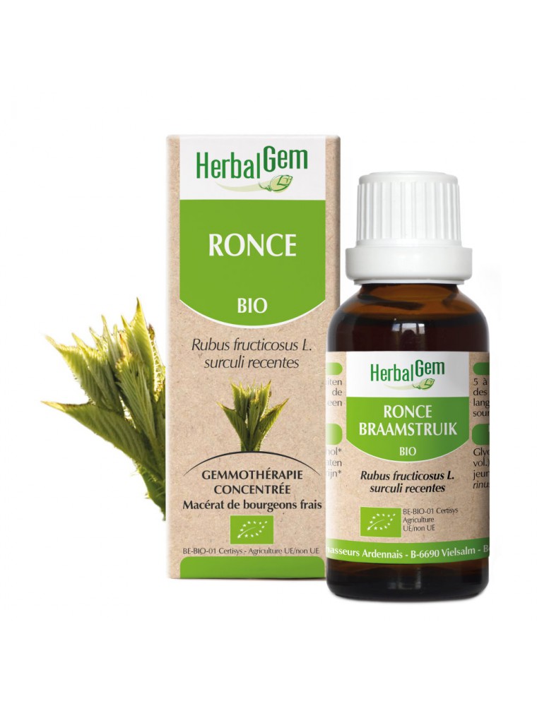 Image principale de la modale pour Ronce bourgeon Bio - Allergies et Respiration 30 ml - Herbalgem