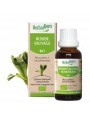 Image de Wild Rose Bud Organic - Childhood Immunity - 15 ml Herbalgem via Buy Petit Tourbillon Complex C32 Organic - Flowers of Bach Granules 10 ml
