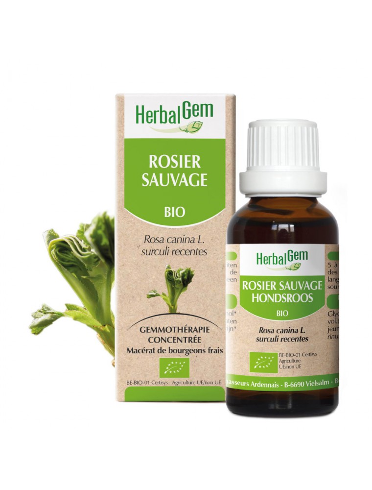 Image principale de la modale pour Rosier sauvage bourgeon Bio - Défenses immunitaires de l'enfant - 30 ml Herbalgem