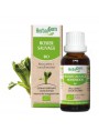 Image de Wild Rose bud Bio - Immune defenses of the child - 30 ml Herbalgem via Buy Organic Anti-Lice Protective Oil - Repellent Oil 9 ml - (French)