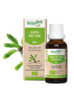 Image de Sapin pectiné bourgeon Bio - Minéralisation 30 ml - Herbalgem depuis Achetez les produits Herbalgem à l'herboristerie Louis (3)