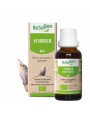 Image de Sorbier bourgeon Bio - Circulation et acouphènes 30 ml - Herbalgem via Acheter Pervenche bourgeon Bio - Mémoire et Circulation 30 ml –