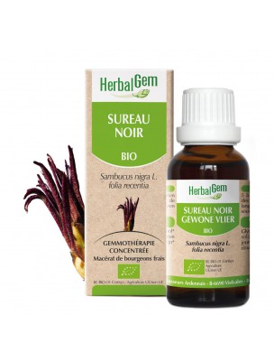 Image de Black Elder bud Bio - Diuretic and Elimination 30 ml - Herbalgem depuis Buy the products Herbalgem at the herbalist's shop Louis