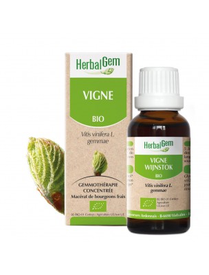 Image de Vigne bourgeon Bio - Articulations 30 ml - Herbalgem via Achetez VenaGEM GC17 Bio - Circulation 30 ml - Herbalgem