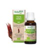 Vigne vierge bourgeon Bio - Articulations et tendons 30 ml - Herbalgem