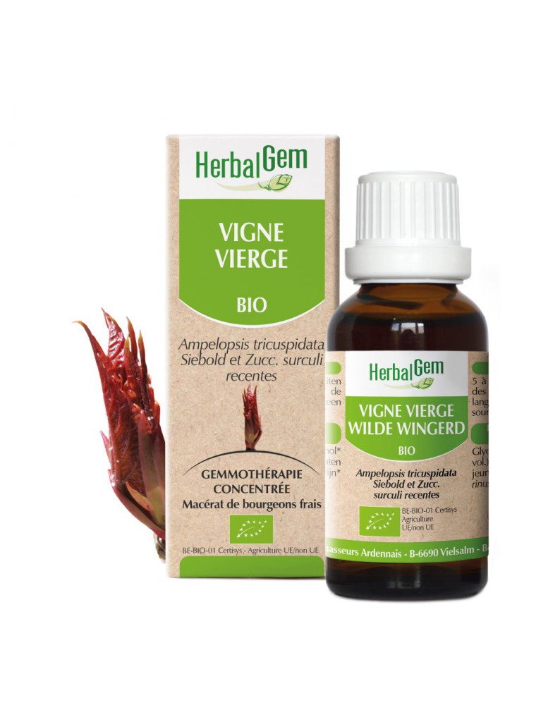 Image principale de la modale pour Vigne vierge bourgeon Bio - Articulations et tendons 30 ml - Herbalgem