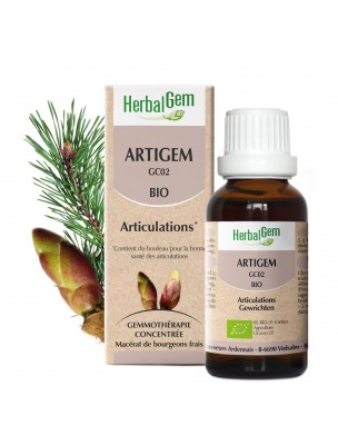 Image de ArtiGEM GC02 Bio - Articulations douloureuses 30 ml – Herbalgem via Bourgeon de Pin des Montagnes Bio 50 ml - Herbalgem