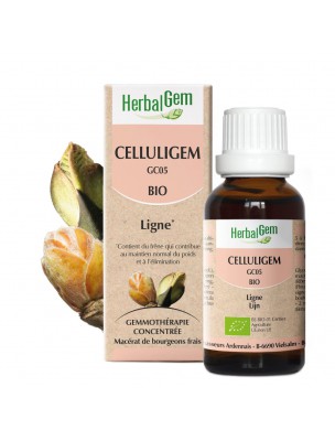 Image de CelluliGEM GC05 Bio - Élimine la cellulite durablement 30 ml - Herbalgem via Acheter CelluSEVE Bio - Drainage de l'organisme en douceur 250 ml -