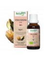 Image de CelluliGEM GC05 Bio - Élimine la cellulite durablement 50 ml - Herbalgem via Châtaignier bourgeon Bio - Drainage et circulation 15 ml -